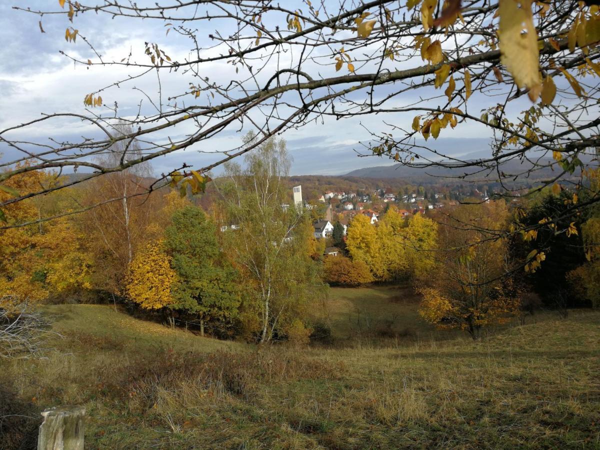 Ravensbergblick - Harzlich Willkommen In Bad Sachsa Apartment Bagian luar foto